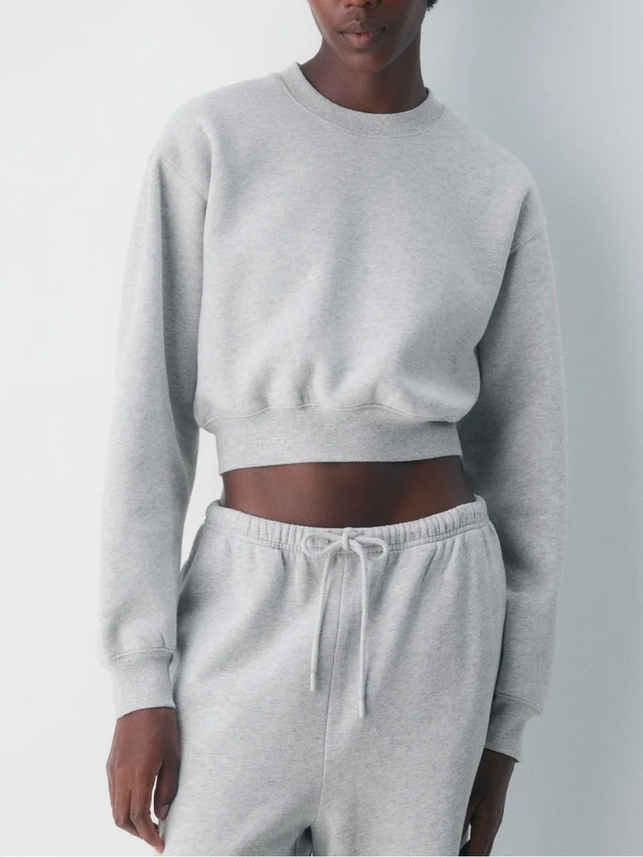 Aritzia Cozy Sweatfleece Cropped Crewneck Sweatshirt - Light Gray