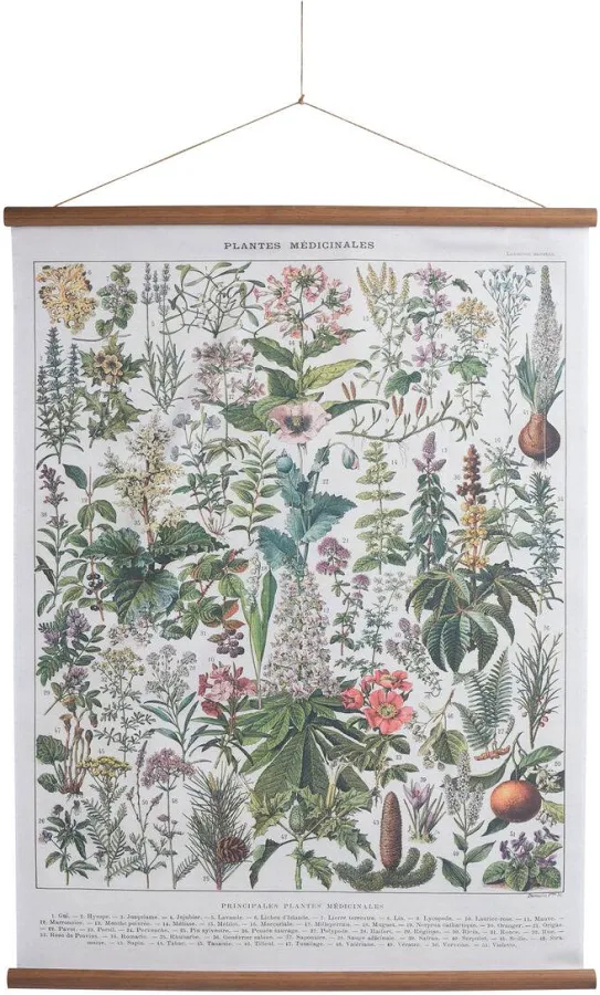 World Market Large Medicinal Plant Linen Scroll Wall Hanging
