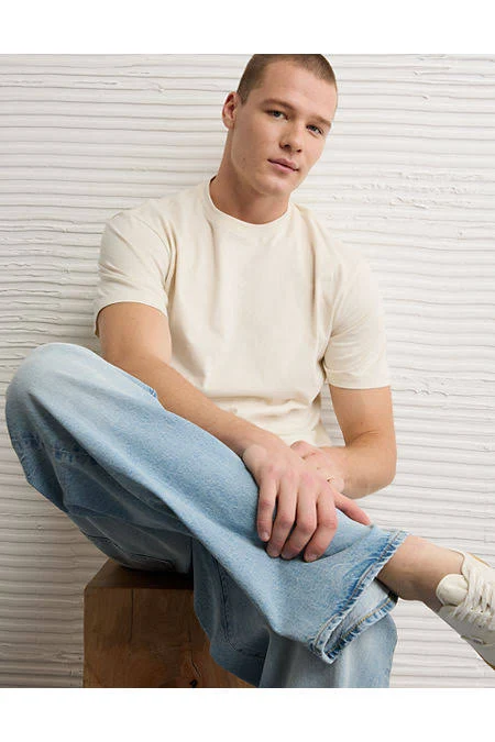 AE Men's Standard Fit Lived-In T-Shirt
