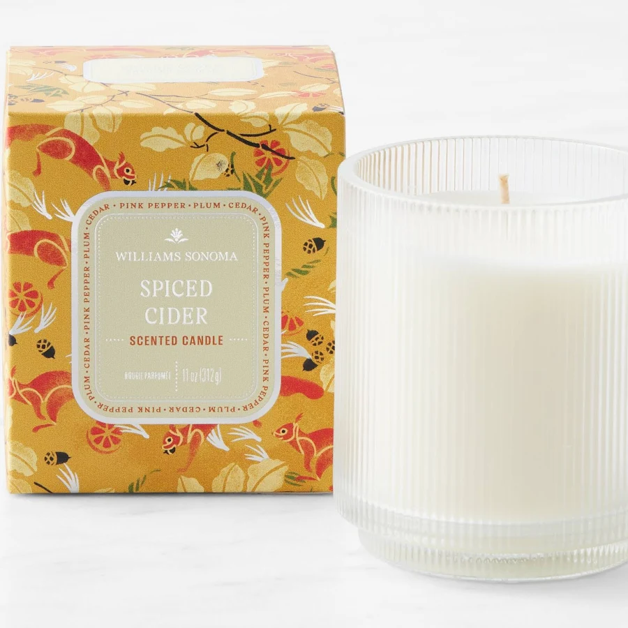 Williams Sonoma Seasonal Home Scents Spiced Cider Candle